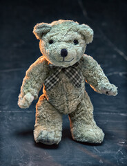 Teddy bear stands on the black floor, dark background