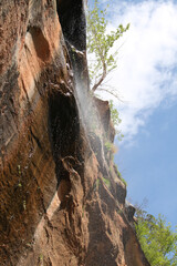 Hiking red sandy trails under the misty cliffs below trees growing at higher elevation in the rocky canyon