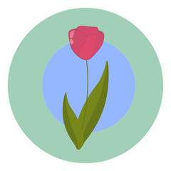 Pink tulip on a turquoise and blue circle background