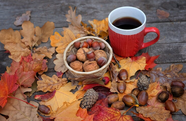 cup of coffee or tea, basket with nuts, autumn leaves, cones, acorns on wooden table. symbol of autumn, Mabon, Thanksgiving holiday. fall season