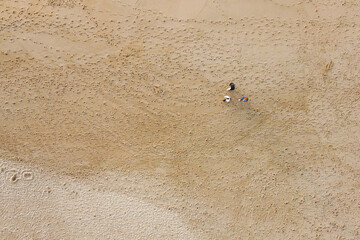 Vista aérea de drone sobre a praia