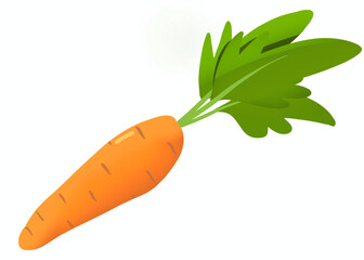 Dessin d'une carotte, fond isolé
