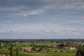 Fototapeta na wymiar Aerial view of French vineyards