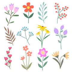 Hand draw floral with decoration