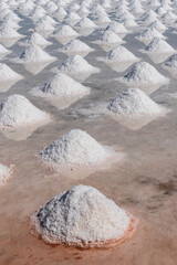 Fototapeta na wymiar the salt pans of Marsala (Trapani - Italy)