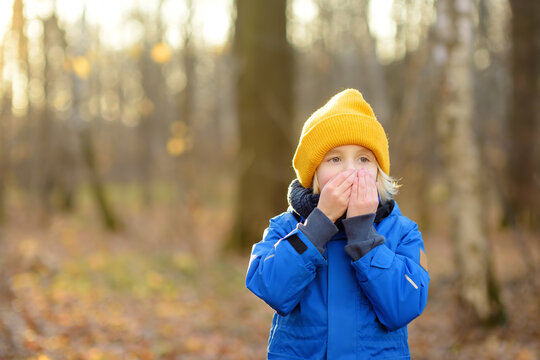 Child warming froze hands during walk in the forest on a cold autumn day. Preschooler boy is having fun while walking through the autumn forest. Family time on nature.