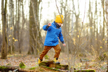 Cheerful child during walk in the forest on a sunny autumn day. Preschooler boy is having fun while...