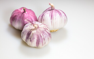 Garlic closeup on white background.