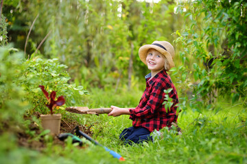 Little boy dig shoveling in backyard at summer sunny day. Mommy little helper in the garden. Gardening.