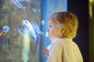 Little boy watches fishes in aquarium. Child exploring nature. Elementary student is on excursion in seaquarium.