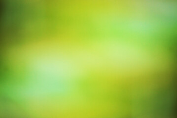 Fototapeta na wymiar yellow-green abstract background. blur effect