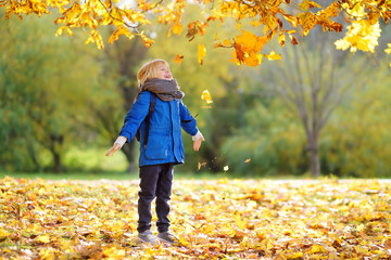 Little boy having fun during stroll in the forest at sunny autumn day. Child playing maple leaves. Baby tossing the leaves up. Active family time on nature. Hiking with little kids. - obrazy, fototapety, plakaty
