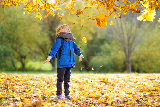 Strolling Sty Strolling Images – Browse 993,235 Stock Photos, Vectors, and Video ...