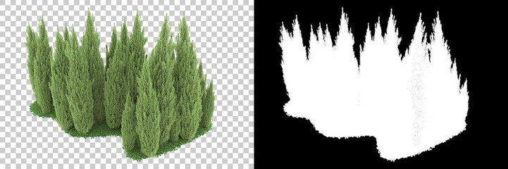 Forest isolated on background with mask. 3d rendering - illustration