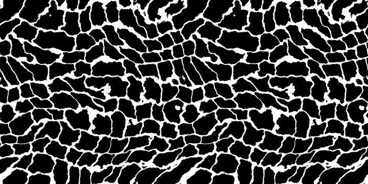 Seamless giraffe fur or snake skin pattern. Tileable black and white safari wildlife animal print background texture. Monochrome warbled abstract wavy wonky square patchwork tile mosaic motif..