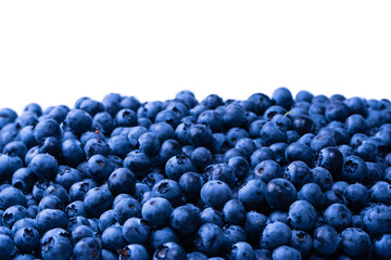 Fresh blueberry background. Texture blueberry berries close up.