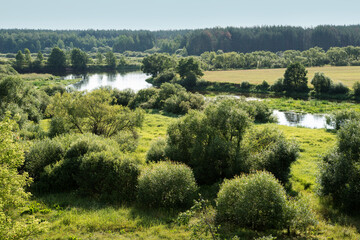 Pastoral landscape on the banks of the river in Belarus