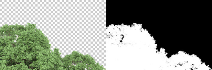 Fototapeta premium Forest isolated on background with mask. 3d rendering - illustration