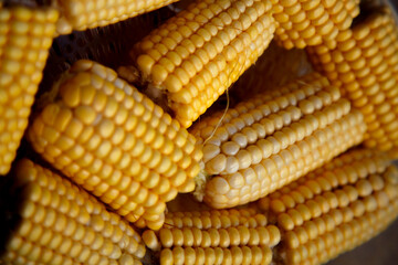 Heads of corn laid out for cooking in a double boiler. Corn broken into pieces in a steamer. The concept of food, vegetarianism, healthy food.