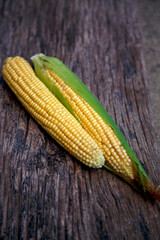 Corn cobs lie on a wooden table. Ripe corn lies on a textured old table. The concept of food, vegetarianism, world nutrition problems.