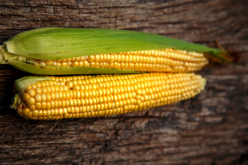 Corn cobs lie on a wooden table. Ripe corn lies on a textured old table. The concept of food, vegetarianism, world nutrition problems.