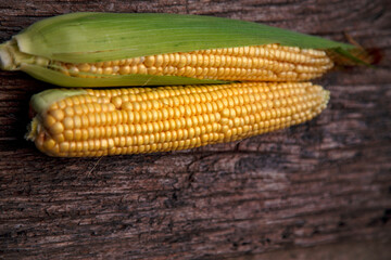 Corn cobs lie on a wooden table. Ripe corn lies on a textured old table. The concept of food, vegetarianism, world nutrition problems.