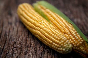 Corn cobs lie on a wooden table. Ripe corn lies on a textured old table. The concept of food, vegetarianism, world nutrition problems.