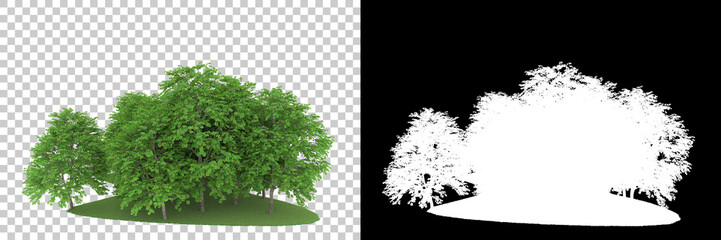 Forest isolated on background with mask. 3d rendering - illustration