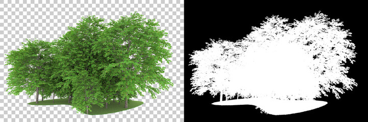 Forest isolated on background with mask. 3d rendering - illustration