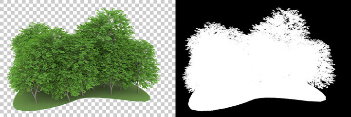 Forest isolated on background with mask. 3d rendering - illustration