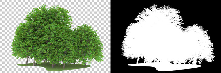 Forest isolated on background with mask. 3d rendering - illustration