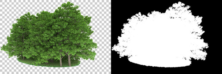 Fototapeta premium Forest isolated on background with mask. 3d rendering - illustration