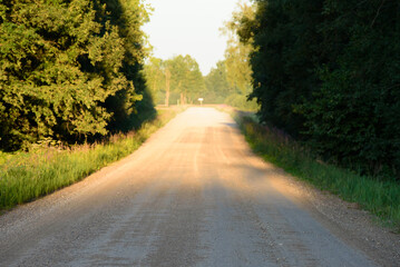 Fototapeta premium a beautiful dirt road in the evening sunset in the middle of summer