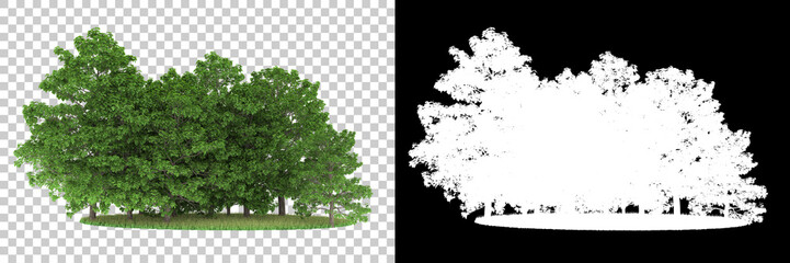 Forest isolated on background with mask. 3d rendering - illustration