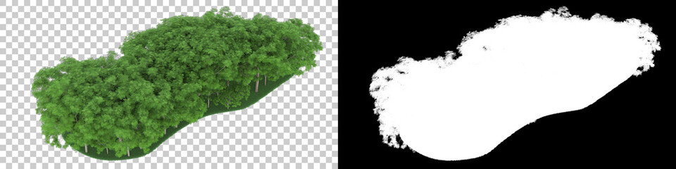 Forest isolated on background with mask. 3d rendering - illustration