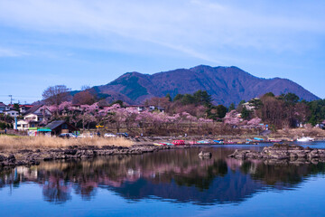 シッコゴ公園の春風景２０２２