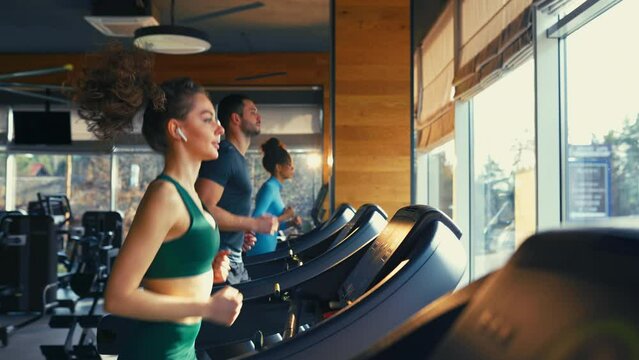 A group of multiethnic young people running on a treadmill in the gym. Cardio workout. The concept of sports and recreation.