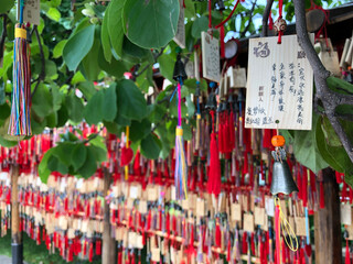 Fototapeta premium Chinesischer Wunschbaum 