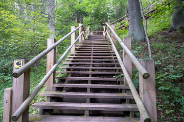 Narrow wooden path winding through forest. Picture of stairs on a hill leading to the top. Nature trail. Latvia