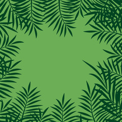 
palm leaf on green background frame for text