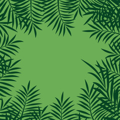 Fototapeta na wymiar palm leaf on green background frame for text