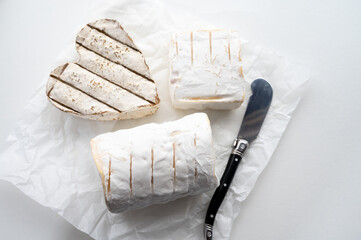 French cheeses heartshaped, squared and cylindrical neufchatel cow cheese with mold on white paper, Normandy, France