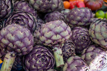 Fototapeta na wymiar Big purple globe artichokes heads on farmers market in Brittany, France