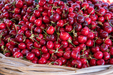 New season of ripe red sweet cherry summer fruits