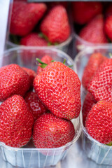 Seasonal fruits, red sweet ripe strawberries for sale on french farmers market