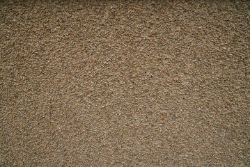 A fragment of a light wall with a plastered surface