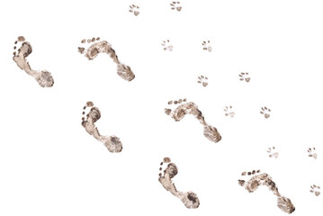 Human and dog footprints collage.
