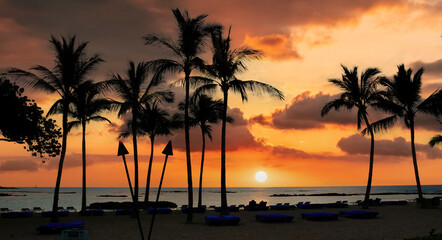 Kona Coast and Palm Trees with Dramatic Sunset on the Big Island in Hawaii - obrazy, fototapety, plakaty