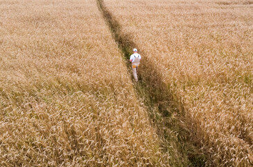 A farmer inspects a field with growing wheat, writes down data on a tablet.