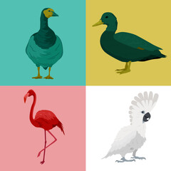 Flat Bird Silhouette Collection